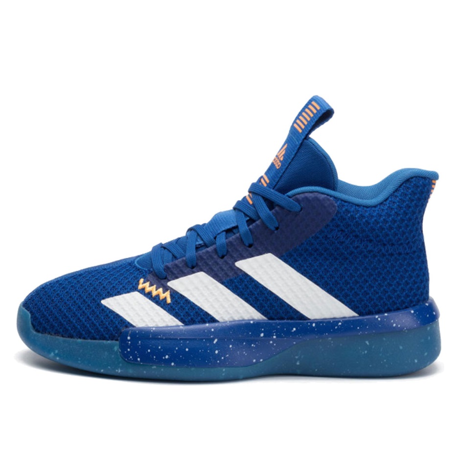 Pro επόμενο 2019 κολεγιακό Royal Klekt